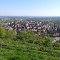 Obernai, région de Strasbourg
